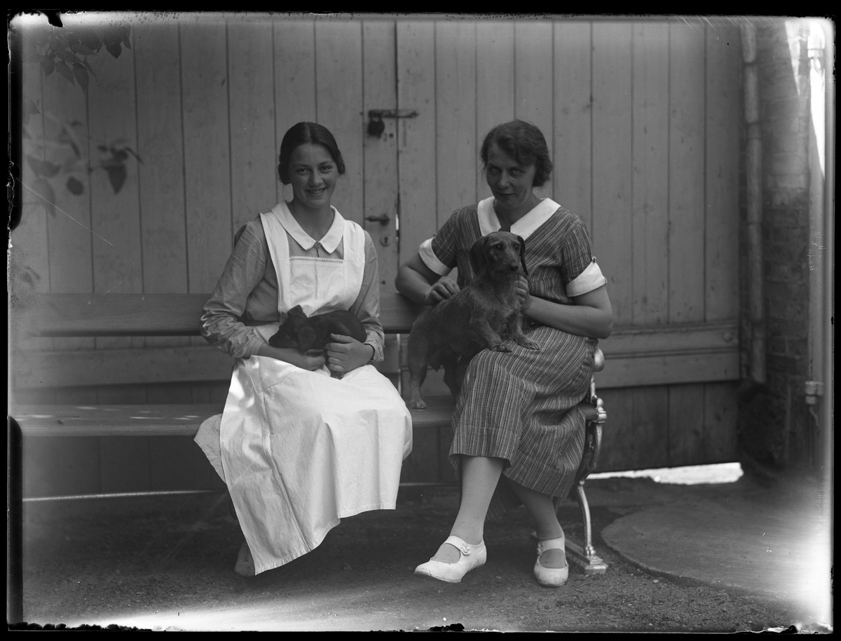 Två kvinnor sitter på en bänk. I knät har de varsin tax. Den ena kvinnan bär uniform. I fotografens egna anteckningar står det "Ing[enjör]  Bergs hundar + jungfru".