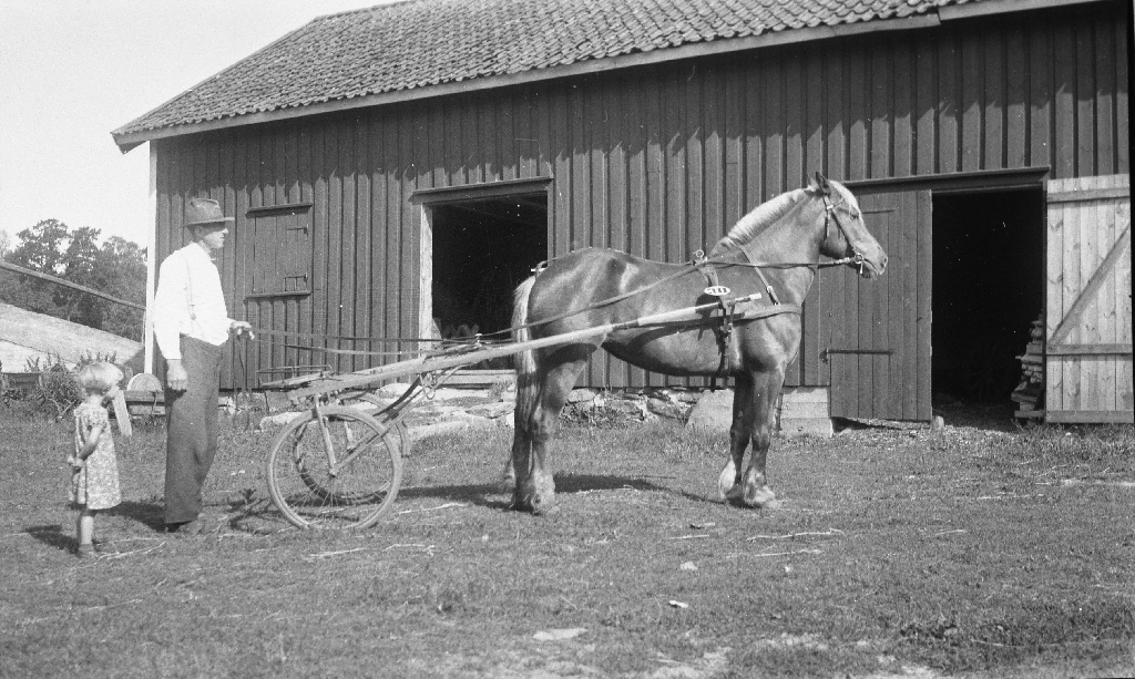 Jon Njå (25.10.1897 - 25.4.1959) med travarhesten sin. Njå bnr. 19.