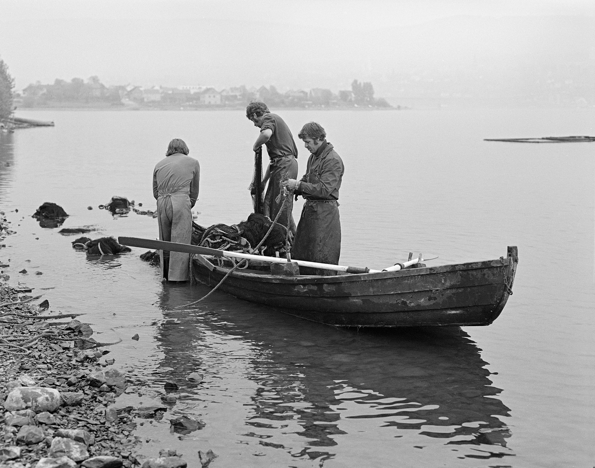 Notfiske etter lågåsild (Coregonus albula) på Risestranda i Fåberg høsten 1979.  I forgrunnen på dette fotografiet ser vi Sven Johansen, Thåmas Teschner og Konrad Johansen, som var i ferd ordne («å gjøra oppatt») nota i båten («åfløya»), som med tanke på neste notkast.  Fiskerne var arbeidskledde, med lange forklær i vannavstøtende materiale.  Risestranda var ett av om lag seksti lågåsildvarp i nordenen av Mjøsa.  Med et par unntak lå alle på vestsida, mellom Vingnes og Vingrom.  Her var bunnforholdene nokså ensartete, og notfisket foregikk følgelig på noenlunde samme måte fra varp til varp, i motsetning til høyere oppe i Lågen, der vekslende elvetopografi og strømforhold var årsaker til variasjoner i måtene det ble fisket på.  Her, ved nordenden av Mjøsa, betydde mannskapsmengden man greide å mobilisere til å delta i notfisket noe for hvordan det ble gjort.  Prosessen startet da nota skulle legges i båten.  To fiskere la nota på plass i akterenden («plitten») av åfløya.  Den ene bar undertelna («søkketennolen»), den andre bar overtelna («flætennolen»).  I noen tilfeller la de nota i det åpne rommet mellom roeren og plitten.  I slike tilfeller måtte det være to menn i båten – en som rodde og en som kastet nota i vannet akterut.  Var notlaget fåtallig, hendte det at redskapen ble lagt på en liten plattform over plitten.  Derfra kunne nota langsomt skli ned i vannet mens en mann rodde langsomt i en bueform ut på vannet med åfløytauet var forankret inne på land.  Langs Vingromlandet kunne lågåsildstimene gå både nordover og sørover, og dette notkastbuene ble tilpasset vekslende vandringsretninger.  Etter at nota var satt, lot fiskerne den synke, slik at den finmaskete nettveven stod som en vegg i vannet.  Deretter startet inndrainga ved at tauene i endene av notveven ble trukket langsomt inn mot land.  Ettersom redskapen nærmet seg land, kunne fiskerne observere luftbobler – «auger» – i vannflata, og mengden av slike gav et inntrykk av hvor stor fangst de kunne vente seg.  Når nota begynte å nærme seg strandsonen var det behov for fire personer til å dra, to i hver sin ende av flætennolen og to i hver sin ende av søkketennolen.  De to sistnevnte sto forholdsvis nær hverandre, i midten og helt nede i strandsonen, for det var viktig at lågåsilda ikke skulle innslippe på undersida av nota.  Da hele søkketennolen var berget i land samlet man fisken i den «bakre» delen av notveven.  Herfra kunne fangsten overføres til fiskekasser, eller den kunne midlertidig samles i «steng» - flytende rammer med en nettpose under.  Hvert notkast i dette området tok cirka en time.  I begynnelsen av sesongen, da sildestimene kom sporadisk, satt fiskerne og ventet på vak som indikerte om det var grunn til å kaste nota.  Når lågåsildas gytevandring var på sitt mest intense, var det bare tid til korte pauser mellom hvert notkast.