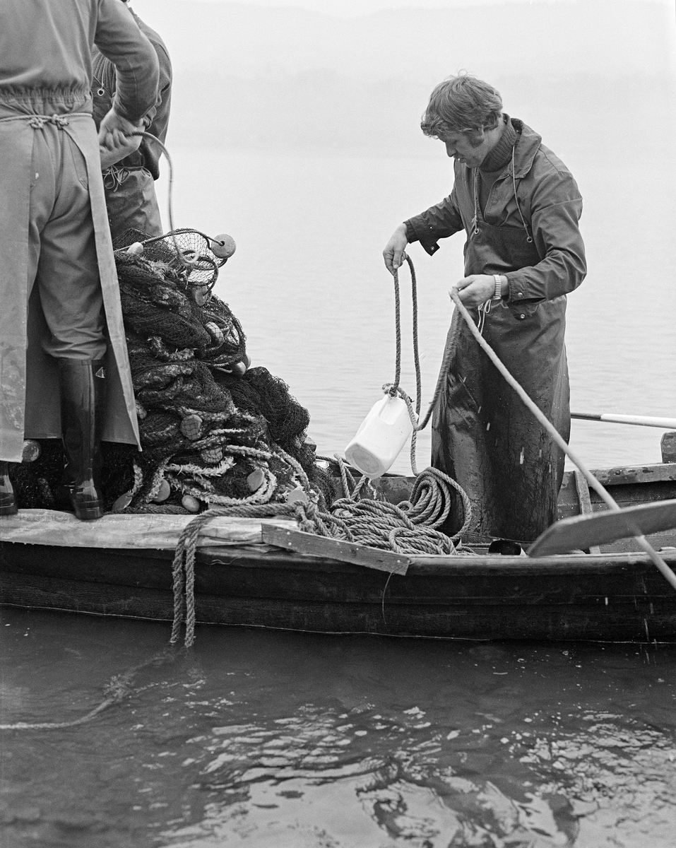 Notfiske etter lågåsild (Coregonus albula) på Risestranda i Fåberg høsten 1979.  På dette fotografiet ser vi Konrad Johansen og to av fiskerkameratene hans (til venstre), som var i ferd ordne («å gjøra oppatt») nota i båten («åfløya»), som med tanke på neste notkast.  Konrad sto med inndtraingstauet i hendene.  Fiskerne var arbeidskledde, med lange forklær i vannavstøtende materiale.  Risestranda var ett av om lag seksti lågåsildvarp i nordenen av Mjøsa.  Med et par unntak lå alle på vestsida, mellom Vingnes og Vingrom.  Her var bunnforholdene nokså ensartete, og notfisket foregikk følgelig på noenlunde samme måte fra varp til varp, i motsetning til høyere oppe i Lågen, der vekslende elvetopografi og strømforhold var årsaker til variasjoner i måtene det ble fisket på.  Her, ved nordenden av Mjøsa, betydde mannskapsmengden man greide å mobilisere til å delta i notfisket noe for hvordan det ble gjort.  Prosessen startet da nota skulle legges i båten.  To fiskere la nota på plass i akterenden («plitten») av åfløya.  Den ene bar undertelna («søkketennolen»), den andre bar overtelna («flætennolen»).  I noen tilfeller la de nota i det åpne rommet mellom roeren og plitten.  I slike tilfeller måtte det være to menn i båten – en som rodde og en som kastet nota i vannet akterut.  Var notlaget fåtallig, hendte det at redskapen ble lagt på en liten plattform over plitten.  Derfra kunne nota langsomt skli ned i vannet mens en mann rodde langsomt i en bueform ut på vannet med åfløytauet var forankret inne på land.  Langs Vingromlandet kunne lågåsildstimene gå både nordover og sørover, og dette notkastbuene ble tilpasset vekslende vandringsretninger.  Etter at nota var satt, lot fiskerne den synke, slik at den finmaskete nettveven stod som en vegg i vannet.  Deretter startet inndrainga ved at tauene i endene av notveven ble trukket langsomt inn mot land.  Ettersom redskapen nærmet seg land, kunne fiskerne observere luftbobler – «auger» – i vannflata, og mengden av slike gav et inntrykk av hvor stor fangst de kunne vente seg.  Når nota begynte å nærme seg strandsonen var det behov for fire personer til å dra, to i hver sin ende av flætennolen og to i hver sin ende av søkketennolen.  De to sistnevnte sto forholdsvis nær hverandre, i midten og helt nede i strandsonen, for det var viktig at lågåsilda ikke skulle innslippe på undersida av nota.  Da hele søkketennolen var berget i land samlet man fisken i den «bakre» delen av notveven.  Herfra kunne fangsten overføres til fiskekasser, eller den kunne midlertidig samles i «steng» - flytende rammer med en nettpose under.  Hvert notkast i dette området tok cirka en time.  I begynnelsen av sesongen, da sildestimene kom sporadisk, satt fiskerne og ventet på vak som indikerte om det var grunn til å kaste nota.  Når lågåsildas gytevandring var på sitt mest intense, var det bare tid til korte pauser mellom hvert notkast.
