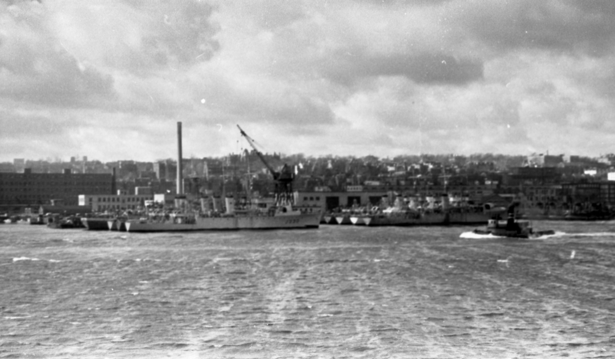 Torpedojagere i havnen. Halifax i bakgrunnen. Suderøy på vei til fangstfeltet.