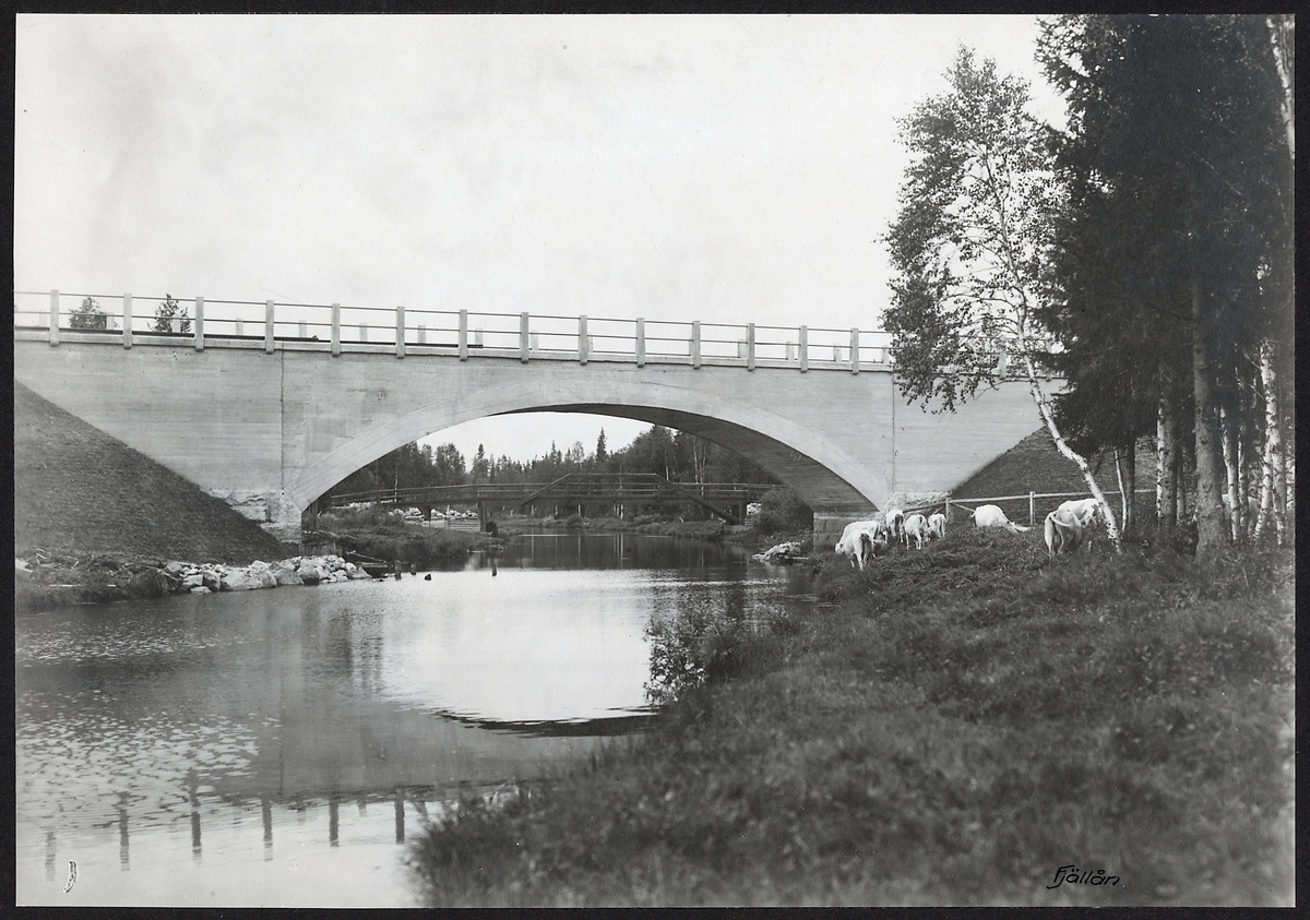 Bron över Fjällån på linjen Dorotea -- Saxvattnet.