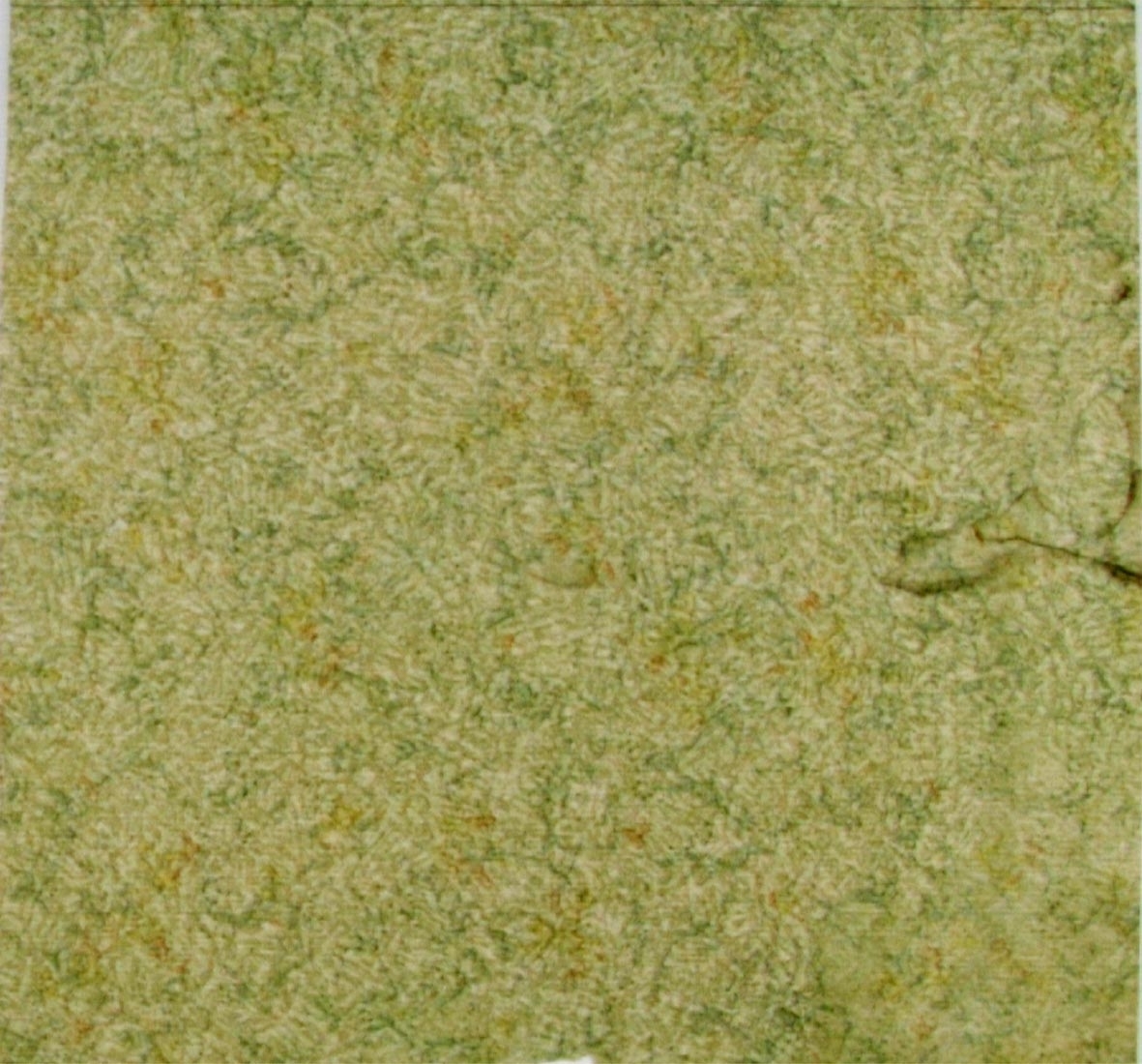 Indifferent mönster i gulgröna nyanser.