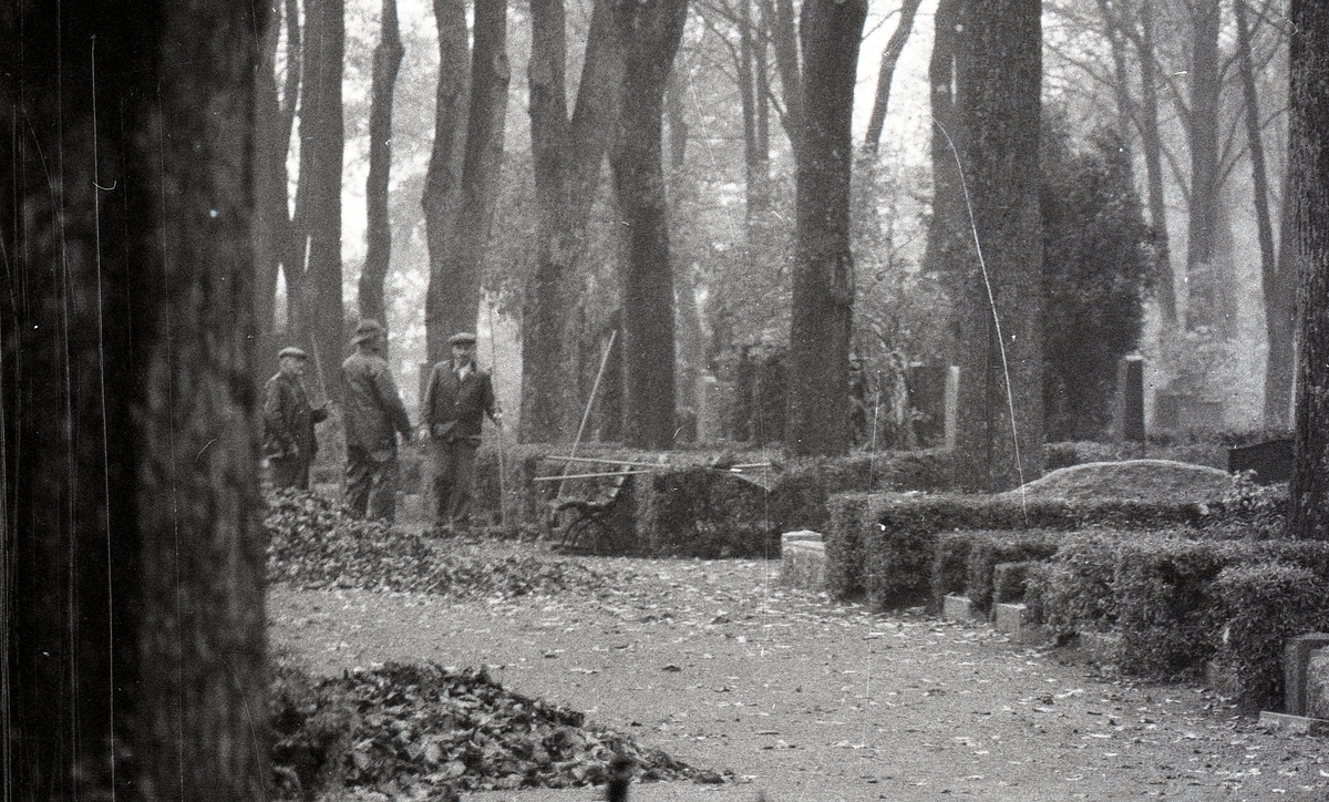 Kyrkogårdsarbetare krattar löv, Uppsala gamla kyrkogård, Uppsala 1961