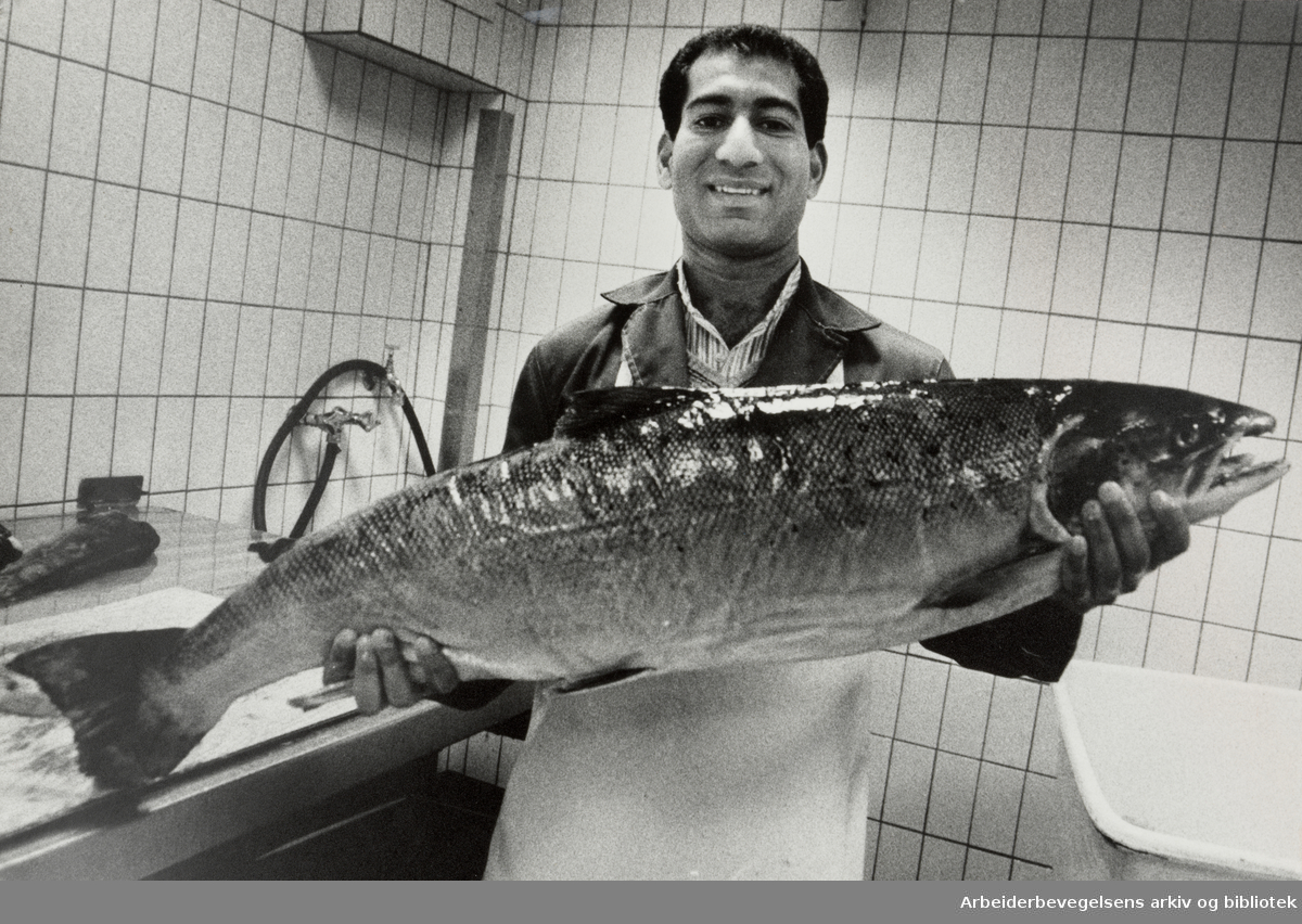 Fiskehallen. Afzat Moghal viser frem en 10 kilos laks som skal til røking. August 1985
