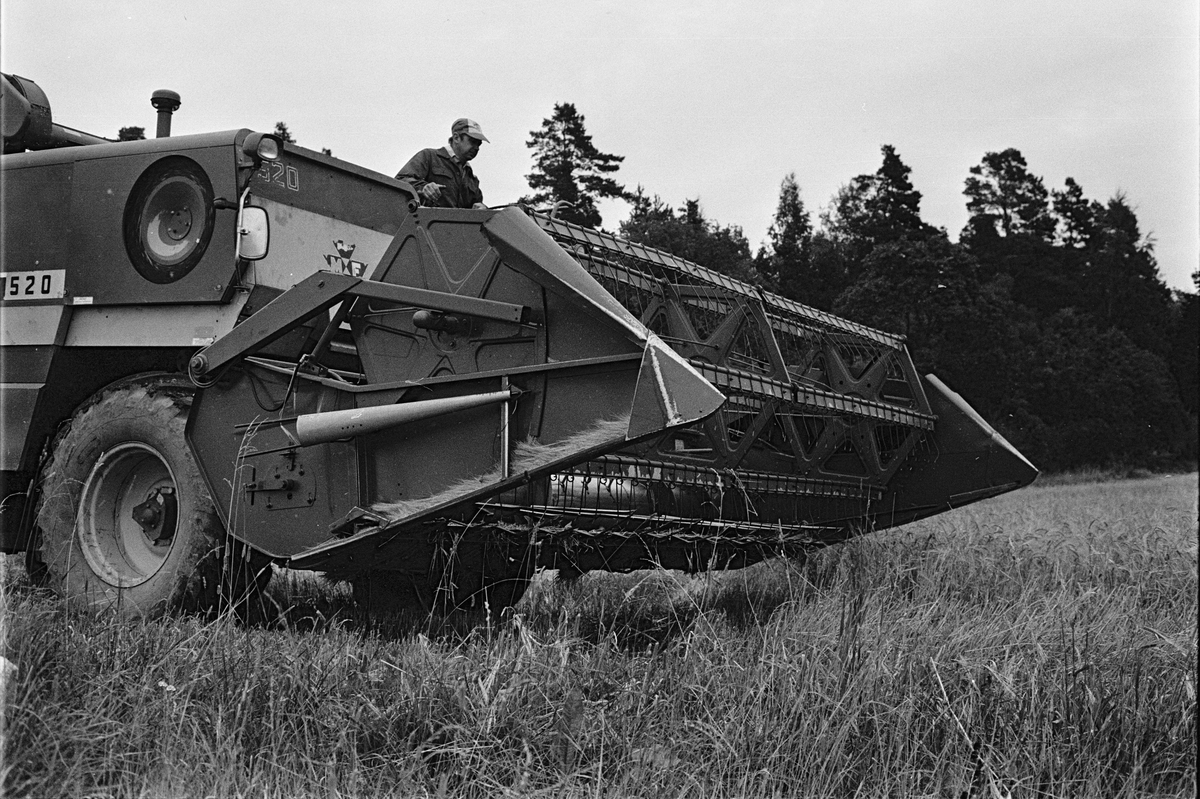 Jordbrukare Ove Leijon tröskar, Stora Bärsta, Uppsala-Näs socken, Uppland september 1981