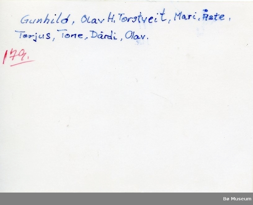 Familiebilete frå Øvre Torstveit, påskehelga 1925. F.v: Gunhild, Olav H., Mari, Aaste, Torjus med Tone framfor, Dårdi og Olav.