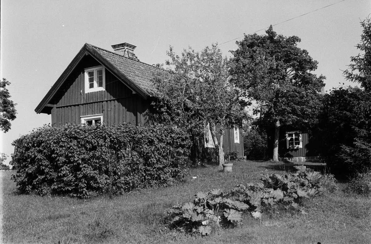 Gruvarbetarbostad, Söderskogen, Film, Uppland juli 1991