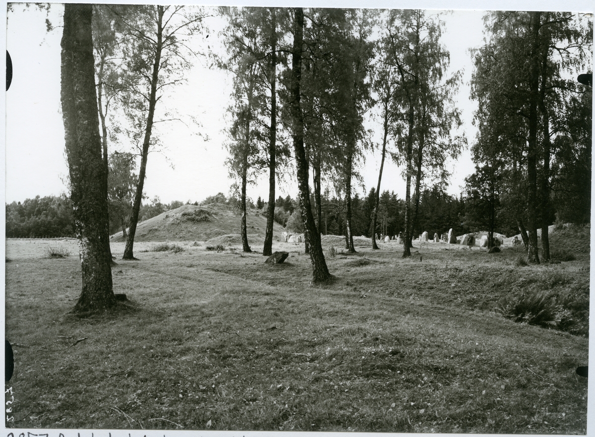 Badelunda sn, Anundshögsområdet, Långby.
Skeppssättningar och Anundshög, 1933.