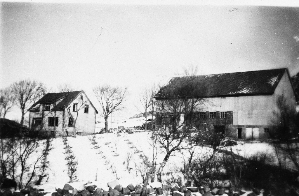 Heimahus og uthus på på garden "Hagen", Fjermestad. Heimahuset brann 1963.