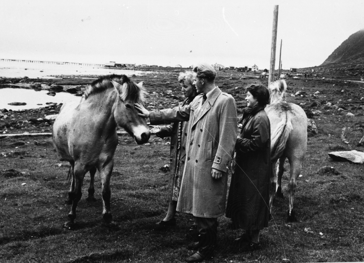 Inga Hansen, Liv Hansen ,Arthur Arnesen og to hester, ca.1950.
