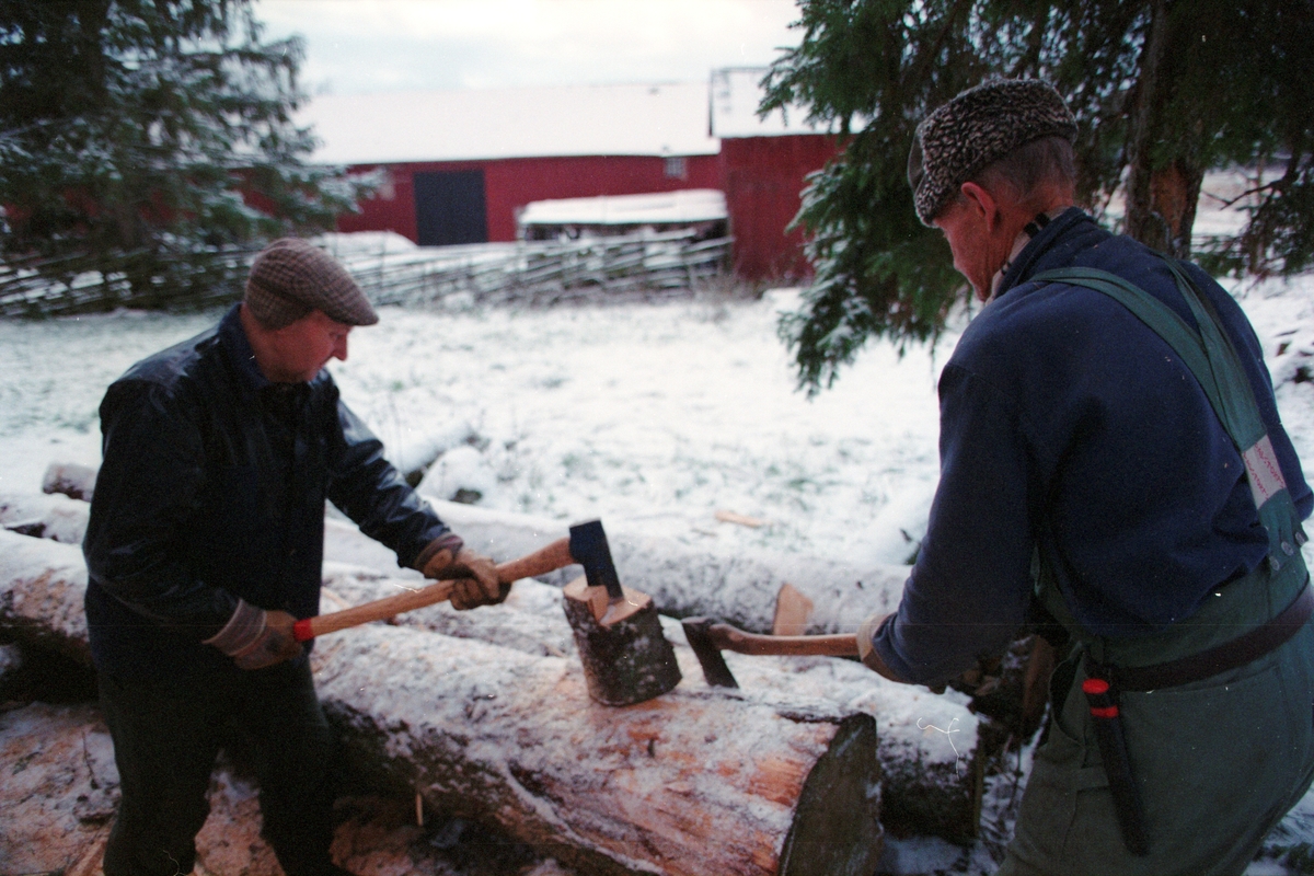 Lantbrukare Arvid och Birger Mattsson klyver ved, Lönnholmen, Gräsö socken, Uppland 1994 - 1995