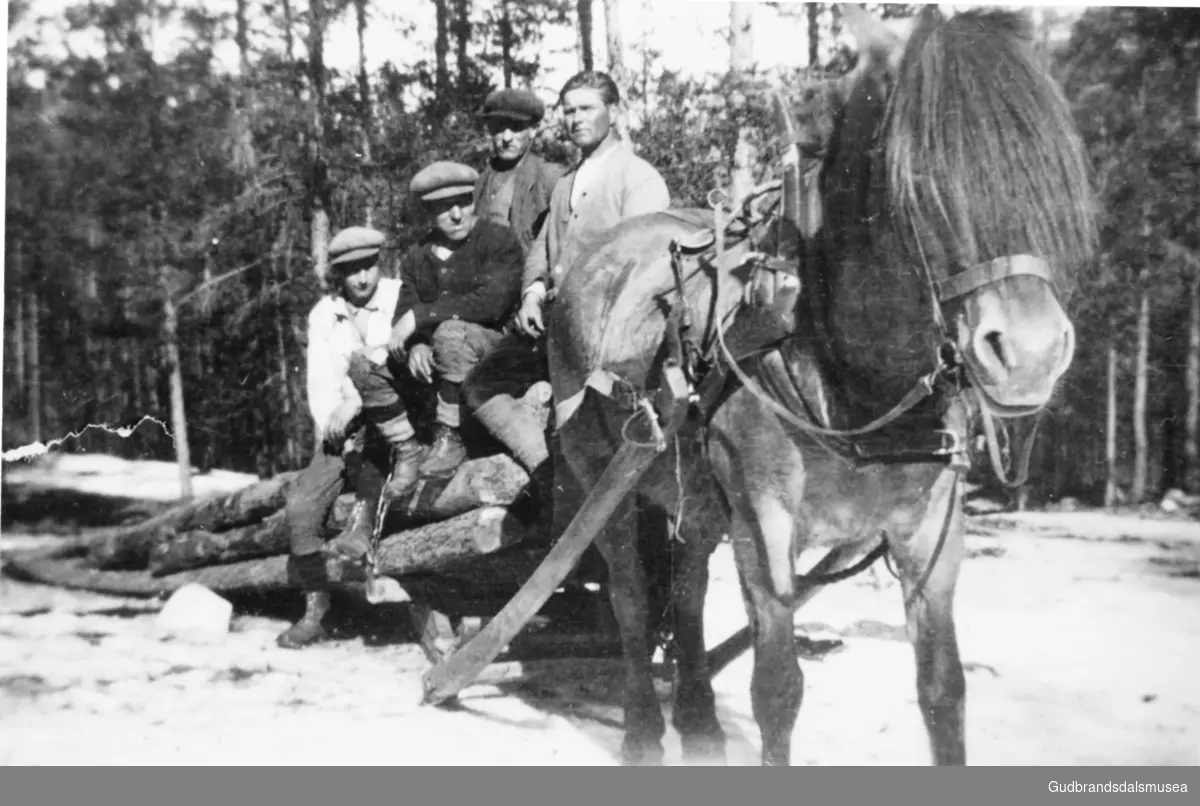 Skogskøyring i Almenninga i 1930-åra