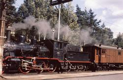 Damplokomotiv type 21c nr. 376 ankommer Nelaug stasjon med p