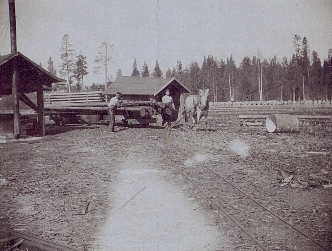 Impregneringsanstalten i Östervall år 1916.