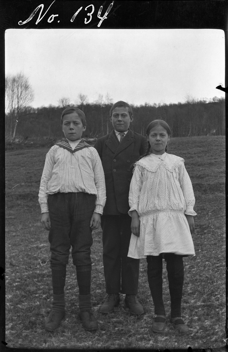 Portrett av tre søsken, fotografert stående utendørs.