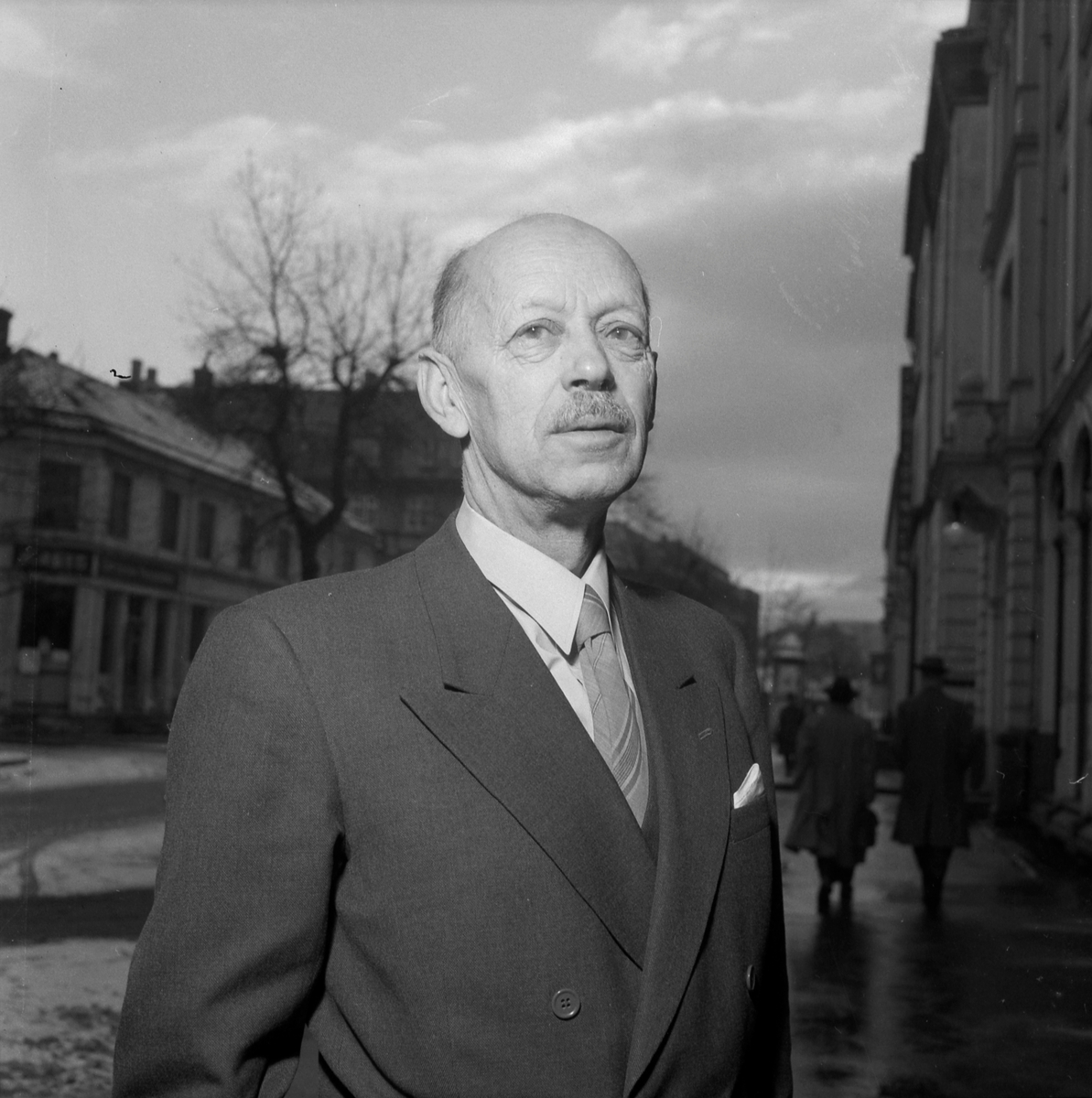 Professor Harald Ulrik Sverdrup