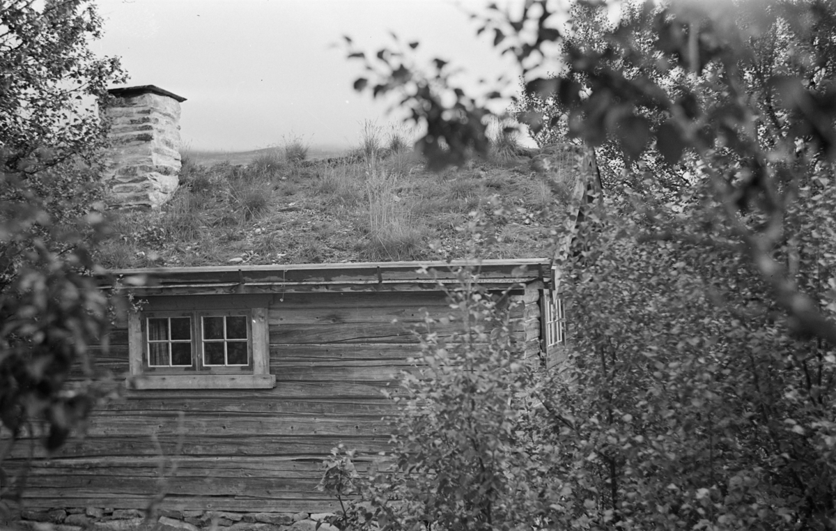 Hytta Mjølbua på Frøysesetra