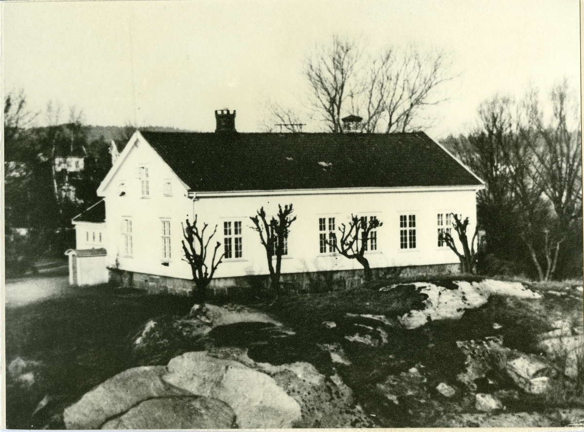 Fredrikstad, Onsøy. Gressvik hovedgård - Julius N. Jacobsen - Gresvik Bruk. - Sammen med gårdene Åle og Hauge avga Gresvik hovedgård grunnen til tettstedet Gressvik. I 1916 kjøpte Græsvig Brug restene av Gressvik gård med hovedbygning av Johan Stangebye, Våningshuset ble restaurert og utvidet, og frmaets hovedkontor flyttet hit i 1918. I 1930 ble hovedbygningen kjøpt av C.A. Forsberg på Kjølberg som i 1937 solgte den til Skipsophugnings- og Demonteringskomåaniet A/S. Dette firmaet ble overtatt av Oslo-firmaet Maskinomsetning A/S kort tid etterpå, men i 1949 solgte firmaet hovedgården til Johan Nilssen. Gården har vært rammet av branner to ganger siden påbygningen i 1918, i 1942 og i 1988, den siste brannen etter at bygningen var nyrestaurert. (Kilde; Onsøy Leksikon 1990). - Arne Stangebyes (1893-1973) bestemor bodde på Gressvik hovedgård.