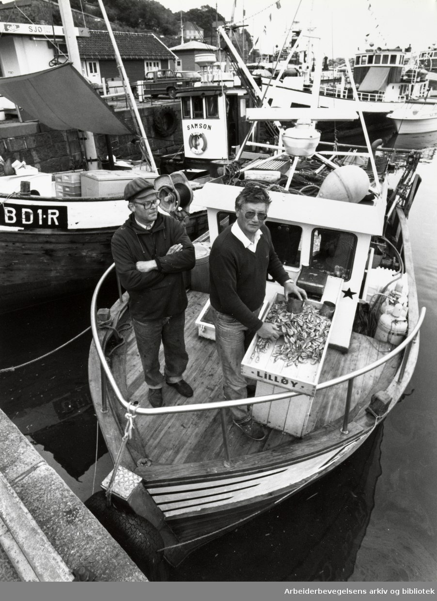 Havna. Rekefiskerne Birger Andersen (t.v.) og Arve Arnesen. Juni 1990