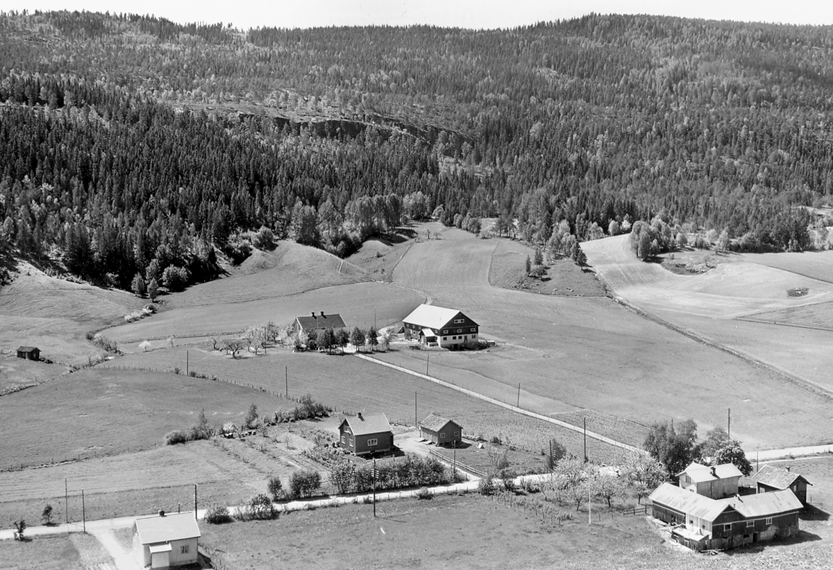 Flyfoto av Lovald i Bø, tatt 13.6.1958