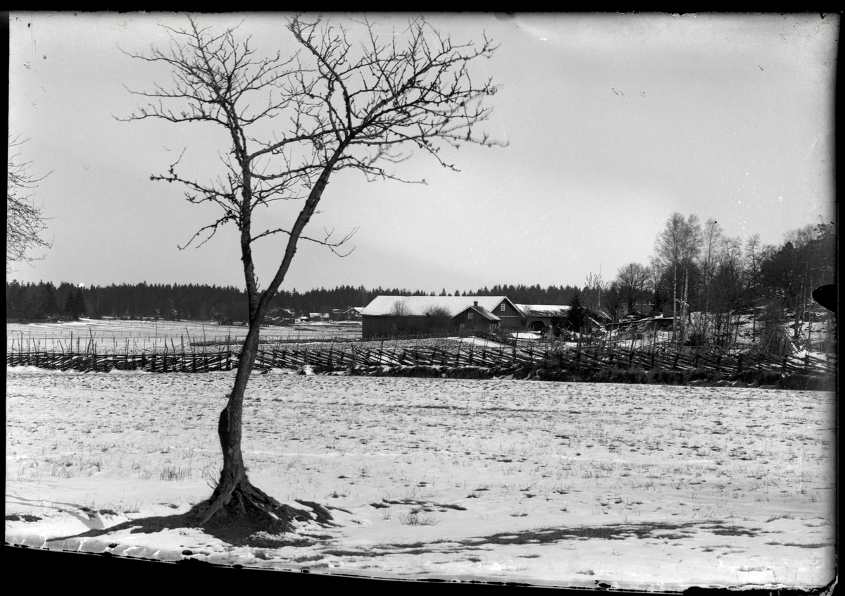 Vinterbild över Kringelsmaden Lars Bryntesgården