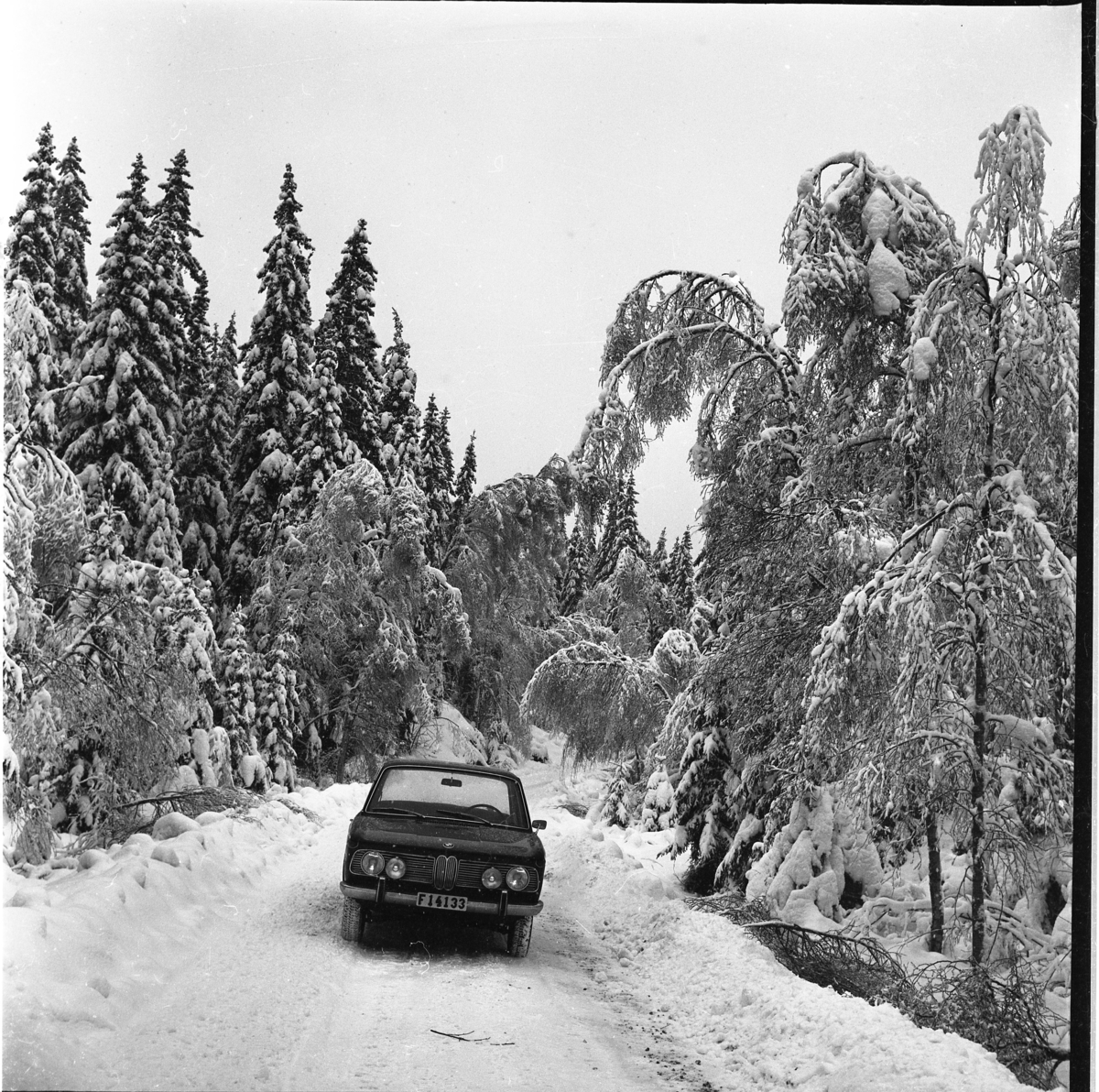 En BMW står parkerad på skogsväg i ett snöigt landskap.