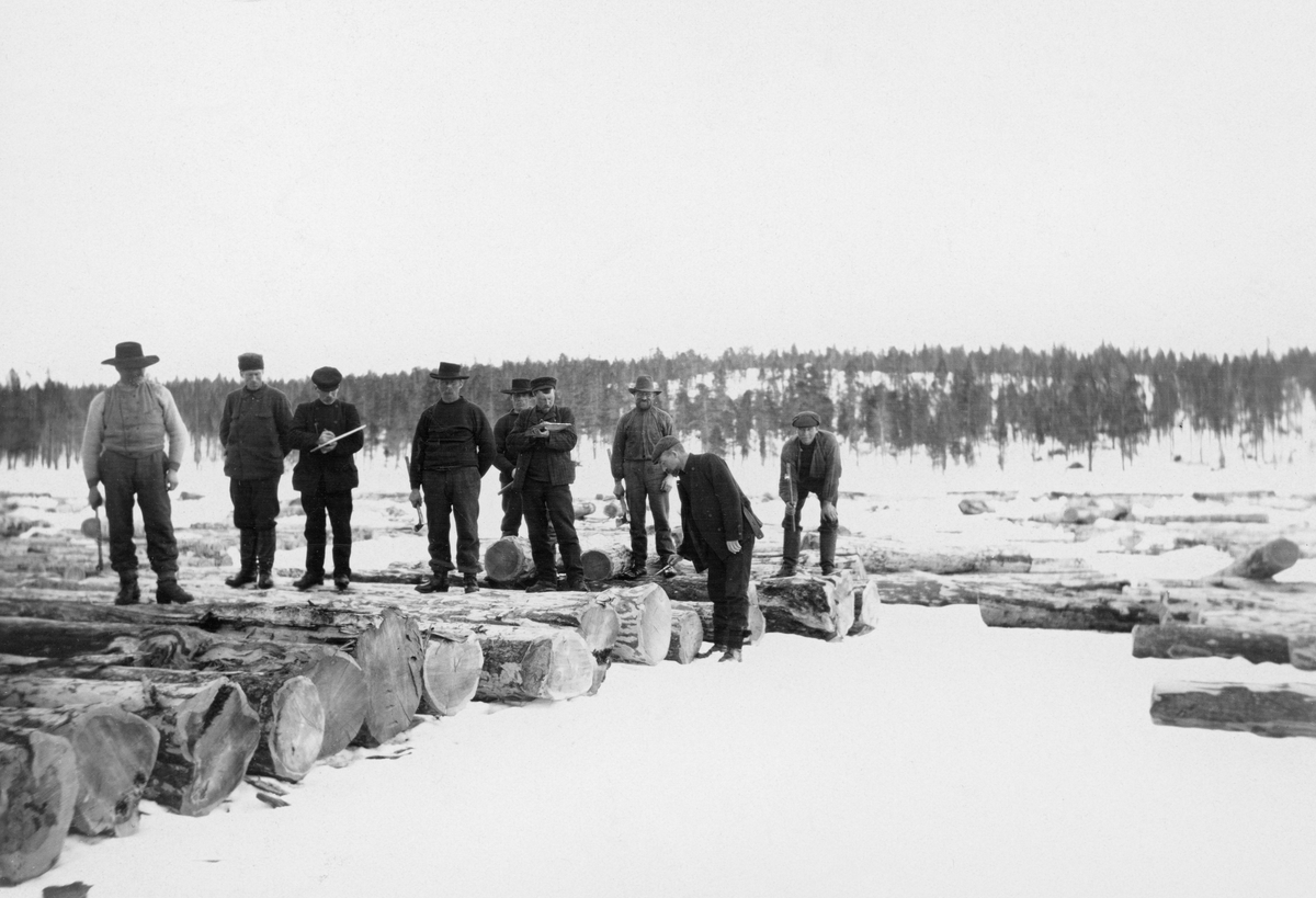 Tømmermerking på Stenvika ved Sorken (på østsida av Femunden) i Engerdal.  Til sammen ni menn med merkeøkser, måleklaver og stikkfløyer er samlet ved ei flo med barkete furustokker som er utlagt på isen. Femundsmarka.