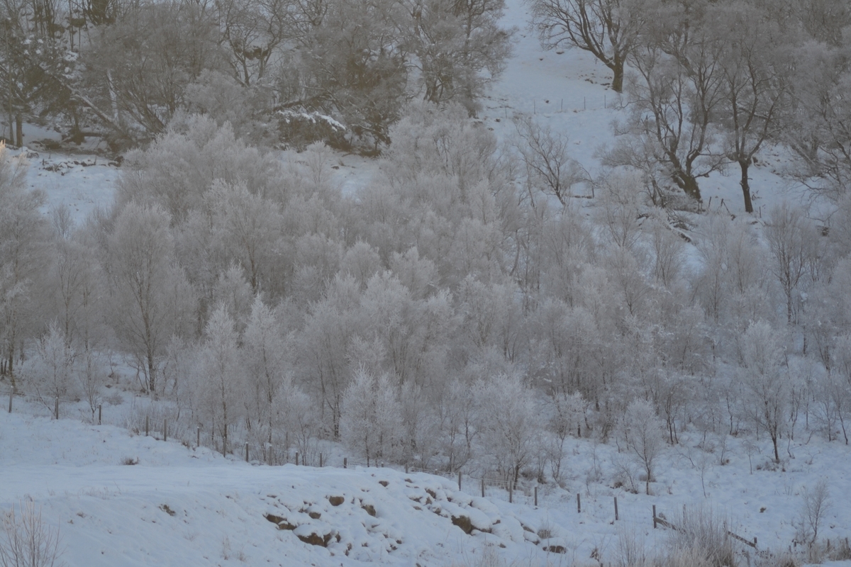 Vinterbilder frå Tjessheim.