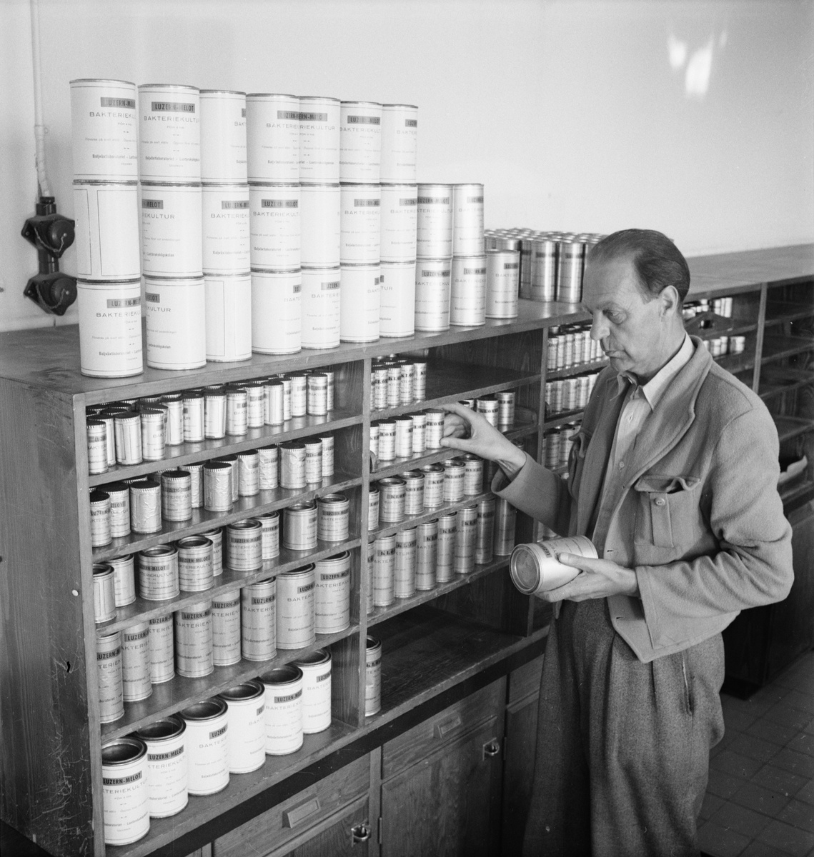 Man i laboratorium, Mikrobiologiska institutionen, Lantbrukshögskolan, Ultuna, Uppsala 1949