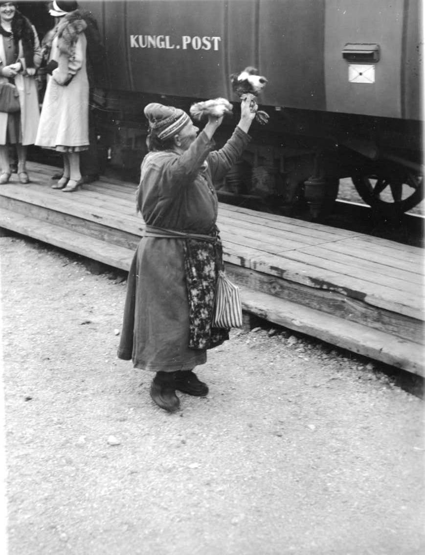 Ett tåg står vi en perrong av trä. Två kvinnor i hatt, ljusa kappor och boa runt halsen står till vänster vid en vagn märkt "KUNGL. POST". De samtalar och skrattar. I förgrunden står en äldre samekvinna vänd mot tåget och viftar med troligen souvenirer som hon vill sälja.