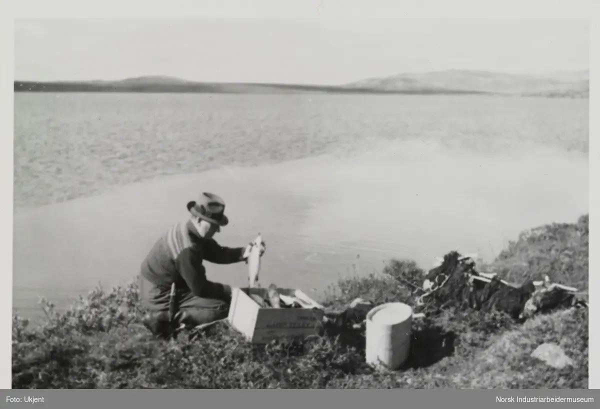 Mann sitter på huk ved innsjø i fjellet og holder en fisk. Ved siden av mannen ligger garn og en trekasse med fisk