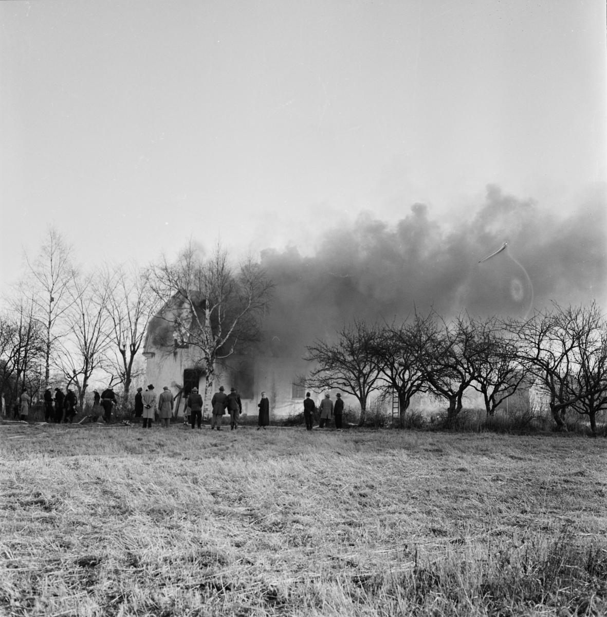 "Brandkåren - övning med skumspruta i Johannesbäck", Uppsala 1956