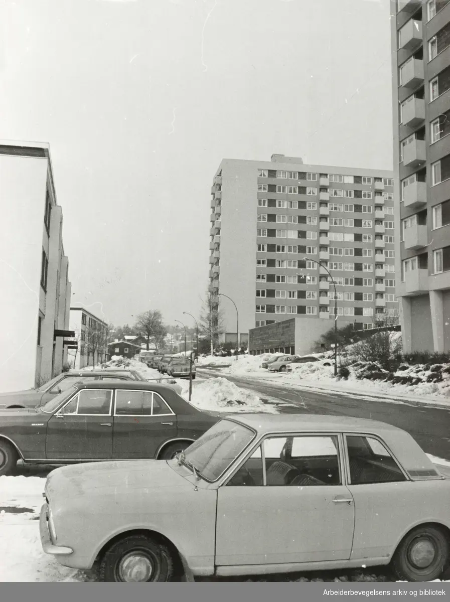 Lillo Terrasse. Mye av veien brukes til parkeringsplasser. Mars 1979