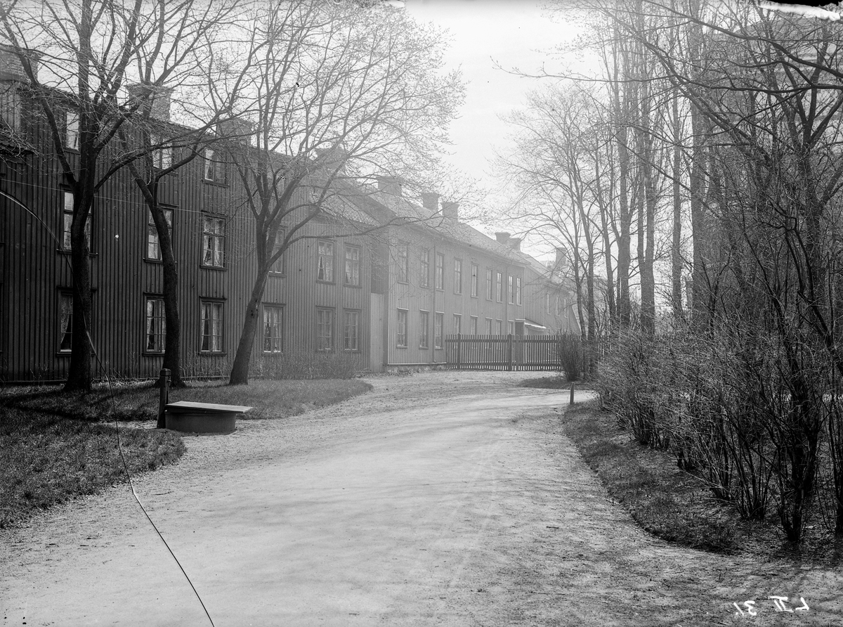Skolgatan från Västra kyrkogården i Jönköping. Västra Trädgård, trähusbebyggelsen till vänster, uppfördes på 1860-talet. Till höger skymtar siluetten av det nybyggda Järnvägsmännens hus.