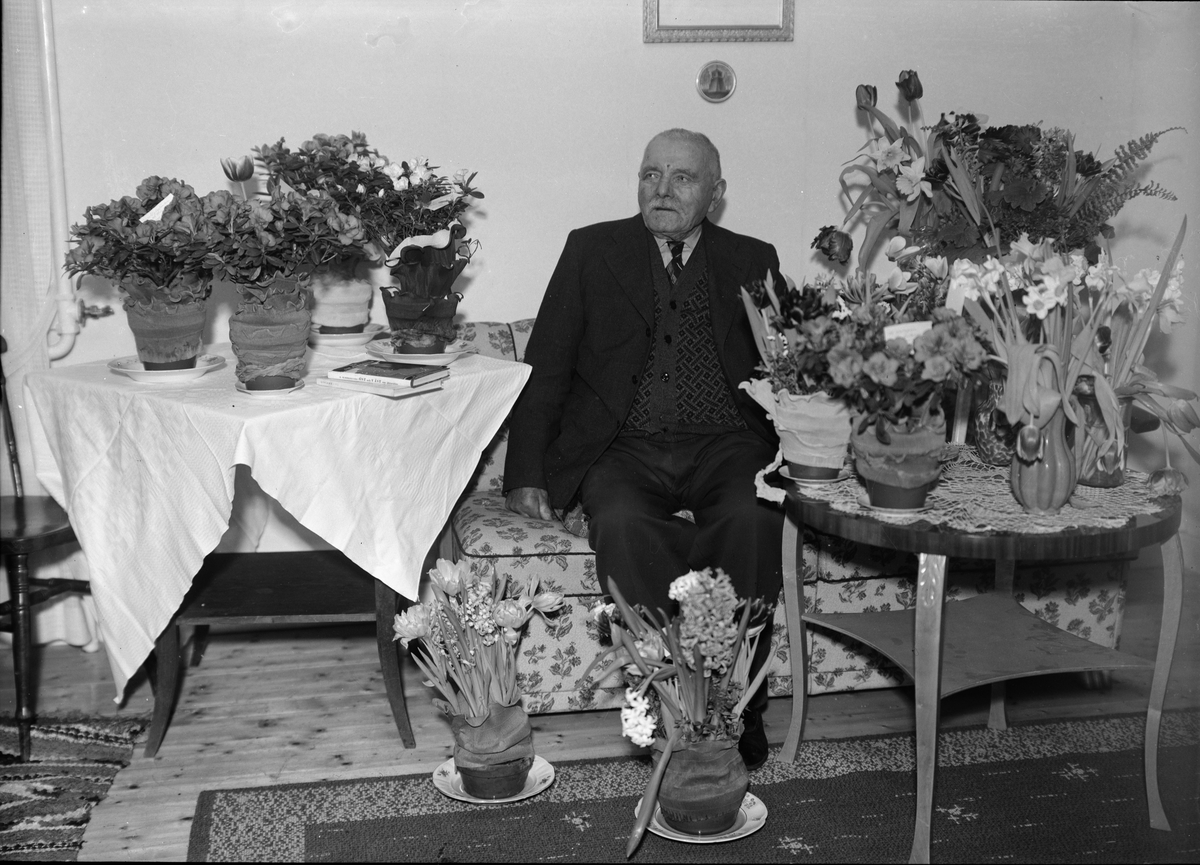 Fredrik Lidén 90 år, Stavby by, Stavby socken, Uppland 1952