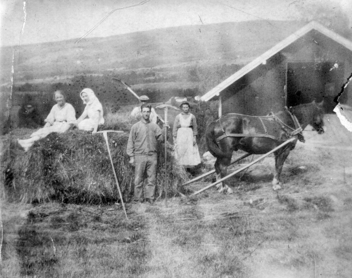Repro: Arlien, Rudsbygd, gårdsdrift, høyonn, hest med høylass på slede, to kvinner på lasset, to karer med rive og en kvinne stående ved siden.
