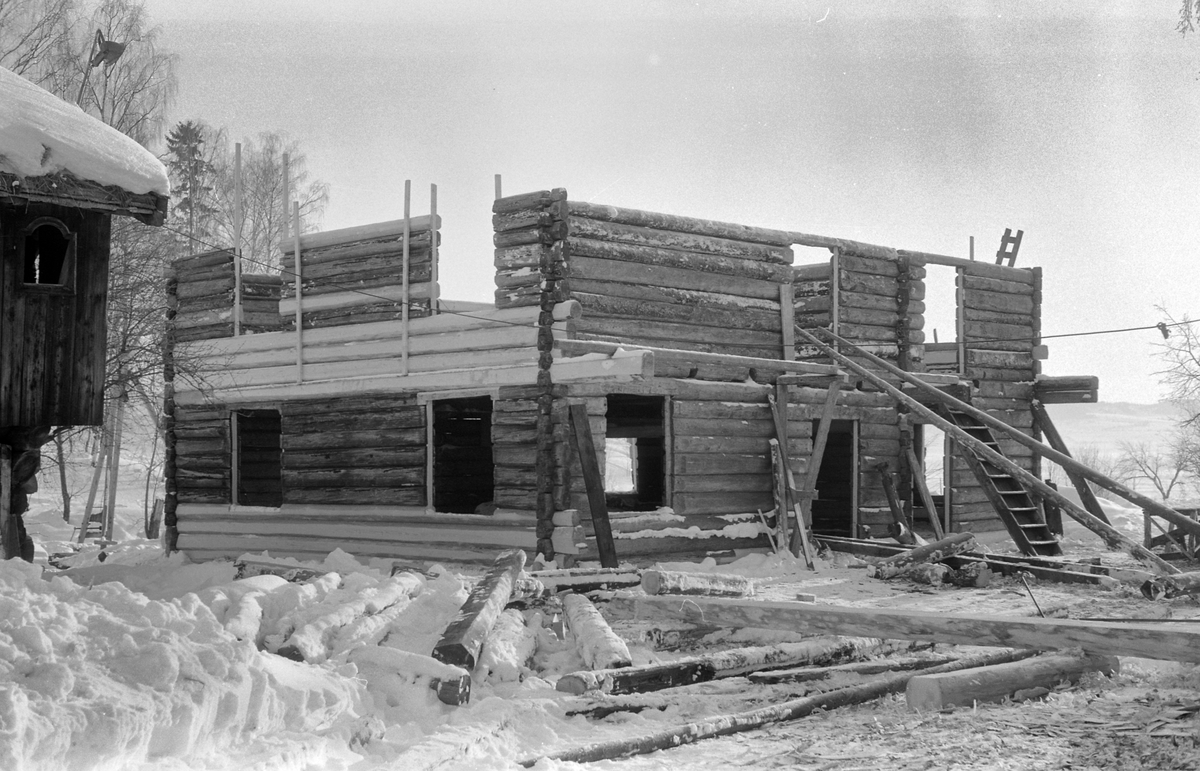 Grimsrudbygningen fra Helgøya restaureres på Hedmarksmuseet. Museumshåndverkere i arbeid. Utskifting av tømmer. 