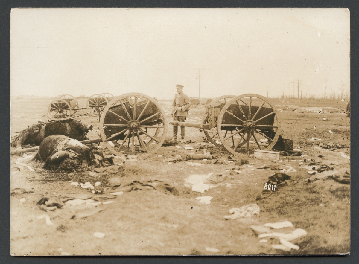 Bilden visar en soldat på slagfältet som betraktar döda hästar och förstörda vagnar efter ett angrepp på en trängtrupp.

Originaltext: "Av tyskt artilleri förintad engelsk trängkolonn.