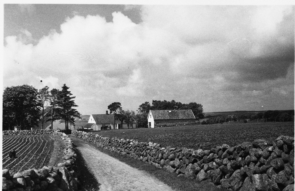 Garden Frøyland i 1947.