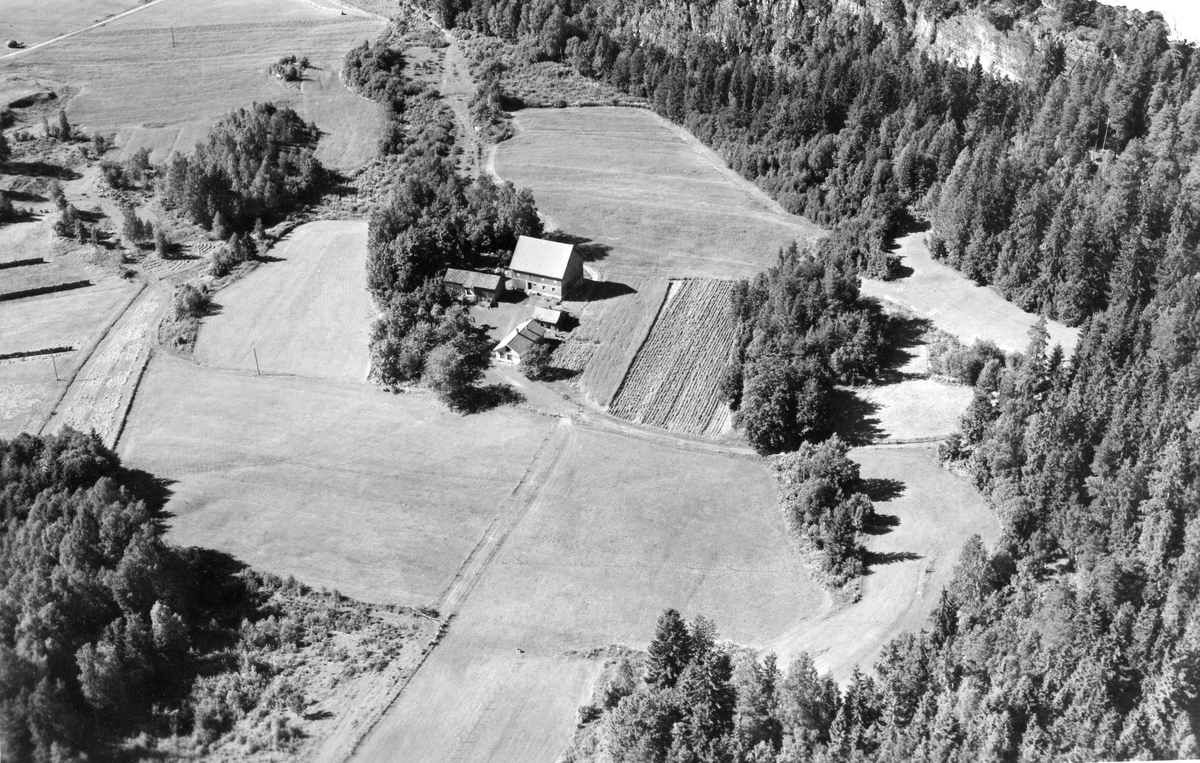 Flyfotoarkiv fra Fjellanger Widerøe AS, fra Porsgrunn Kommune, Rønningen Gård. Fotografert 30/07-1951. Fotograf Otto Hansen