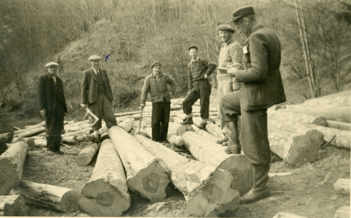 Tømmermerking ved Velta 1949.
Til h. Kolbjørn Akervold, nr.2 frå v. Arne Storebråten.