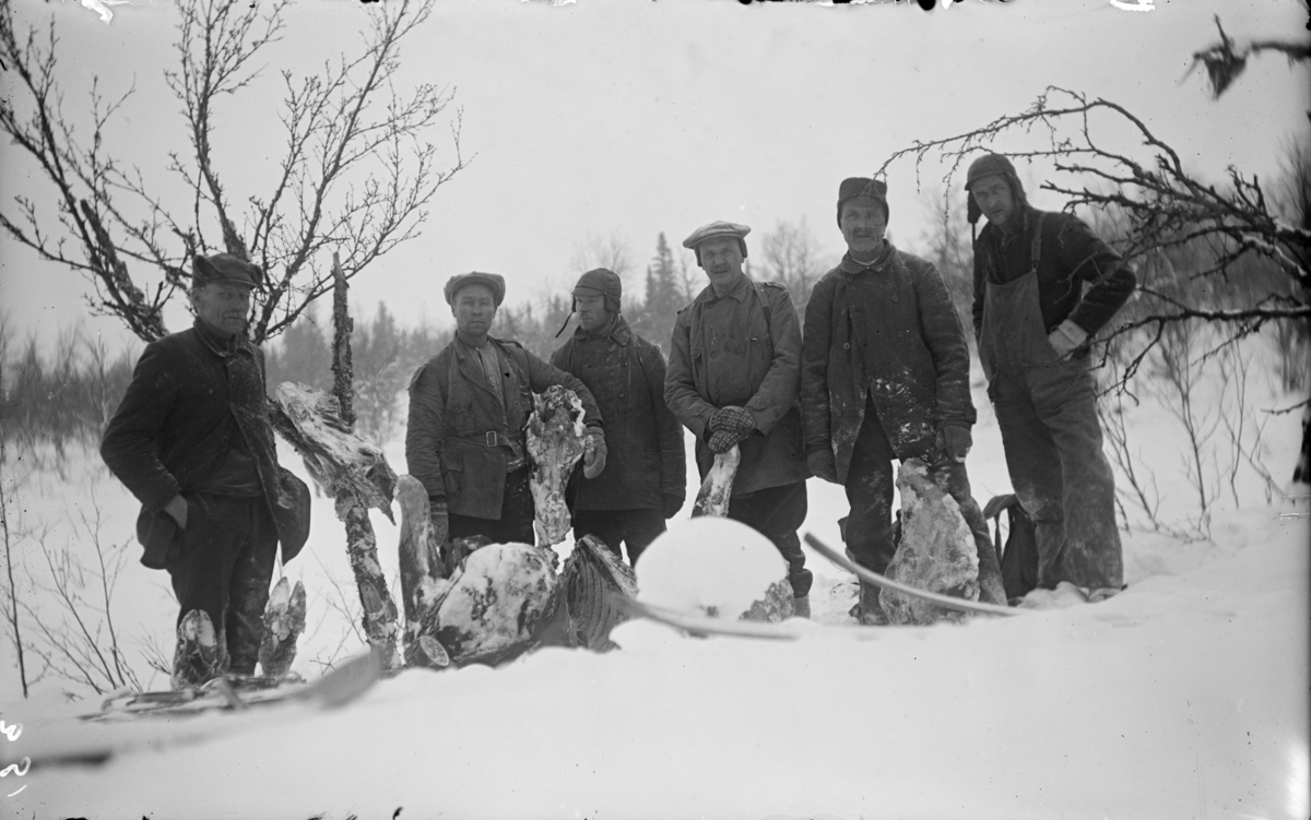 Seks menn på jakt vinteren 1931. Slakt av elg foran. Fotografen Kjell O. Moe til høyre.