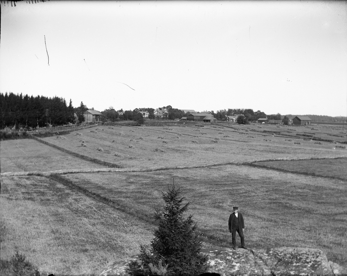 Landskapsvy, Östhammar, Uppland 1902