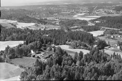 Haug
Knestang, Knestanggaten
1955