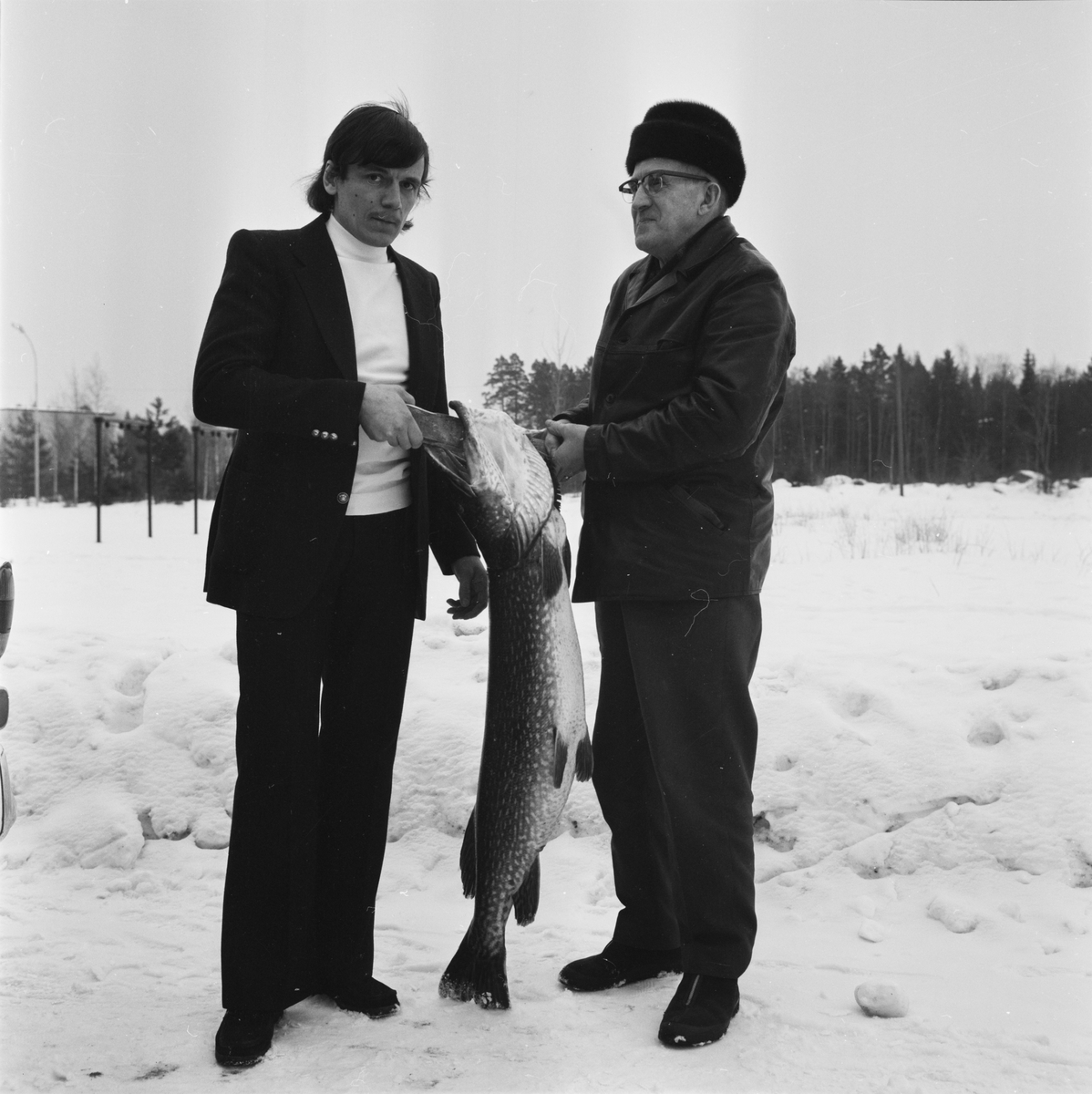 Rekordgädda i Söderfors, Uppland, mars 1972