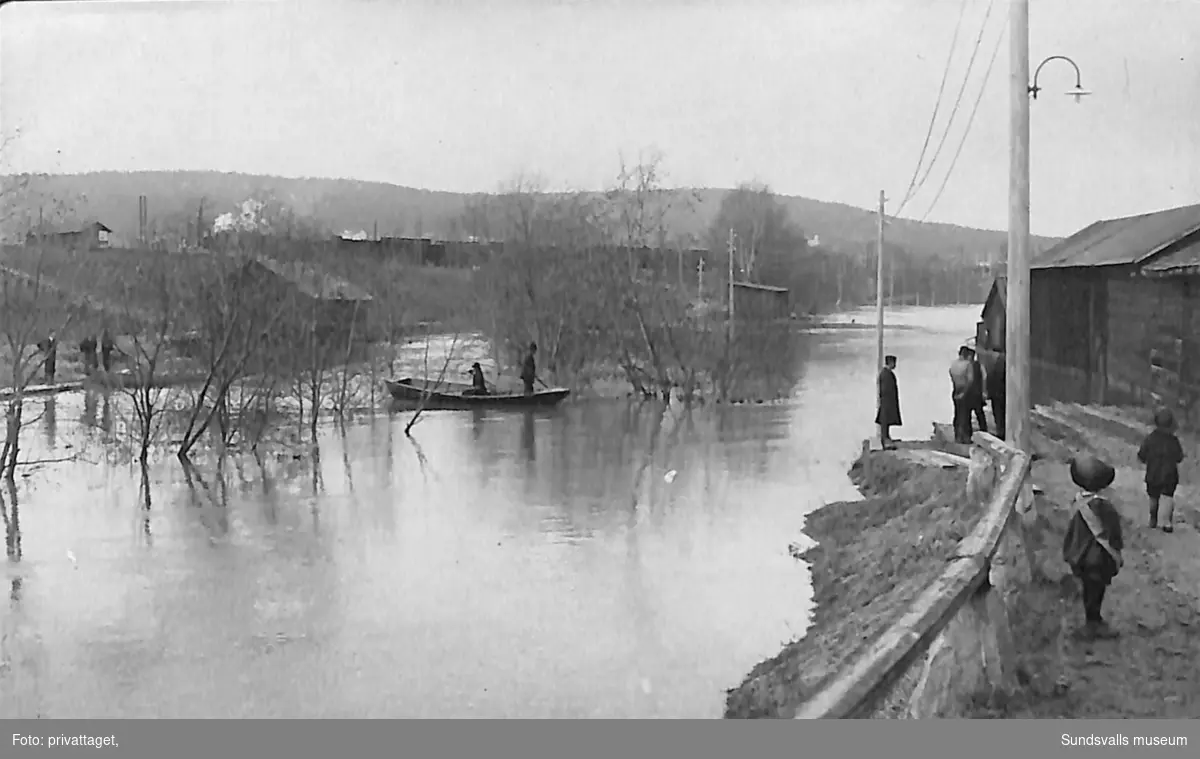 Vykort med motiv av ett vattendrag som svämmat över. Text på baksidan: Översvämningen i Sundsvall 1919.