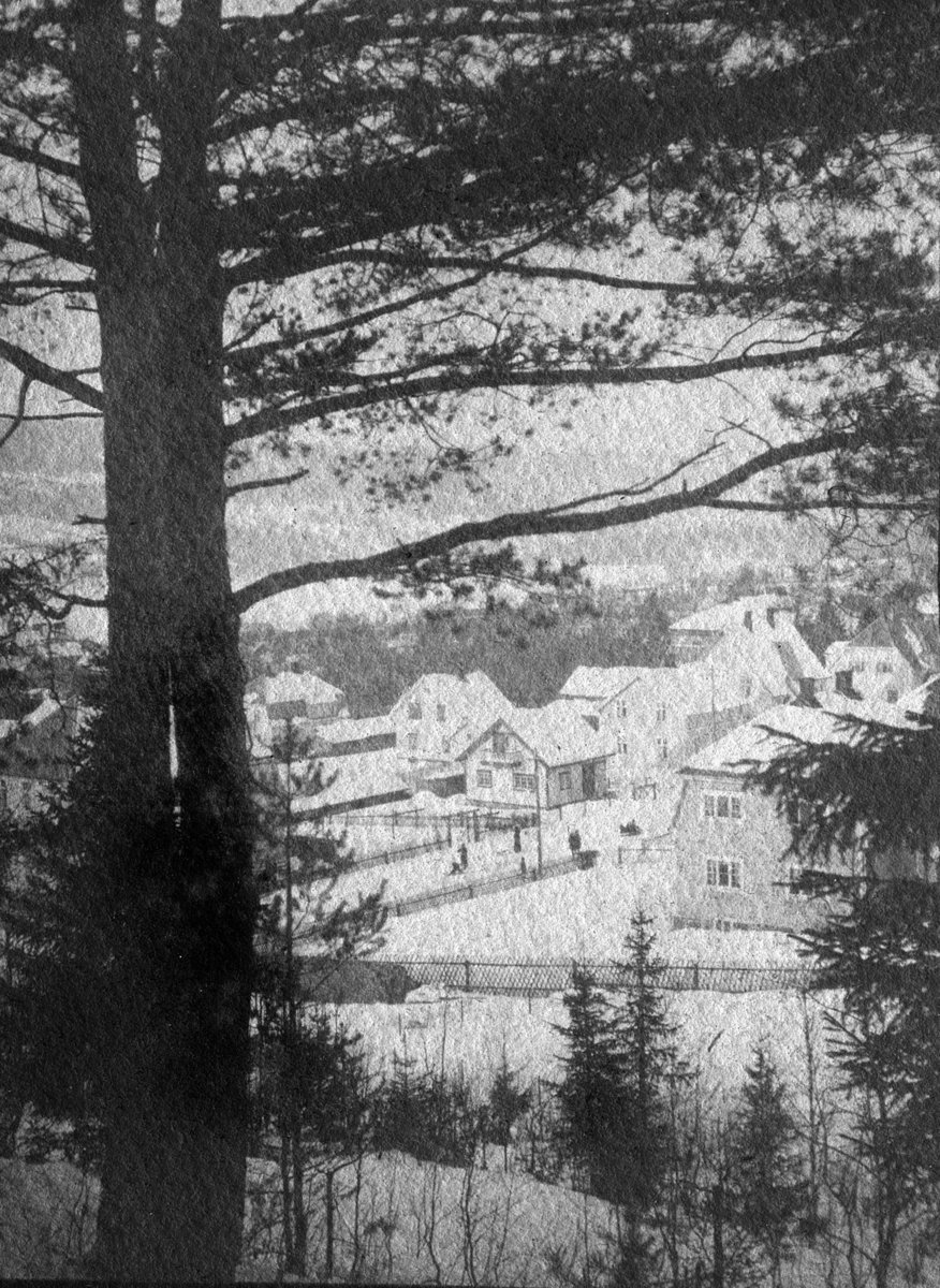 Utsikt over søndre bydel, Lillehammer