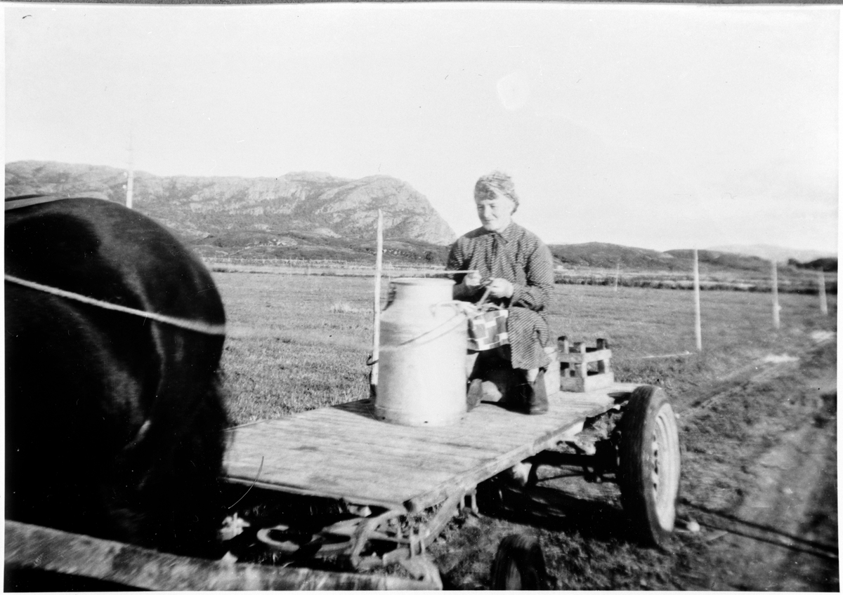 Kvinne med melkespann, hest og kjerre, Ørlandet
