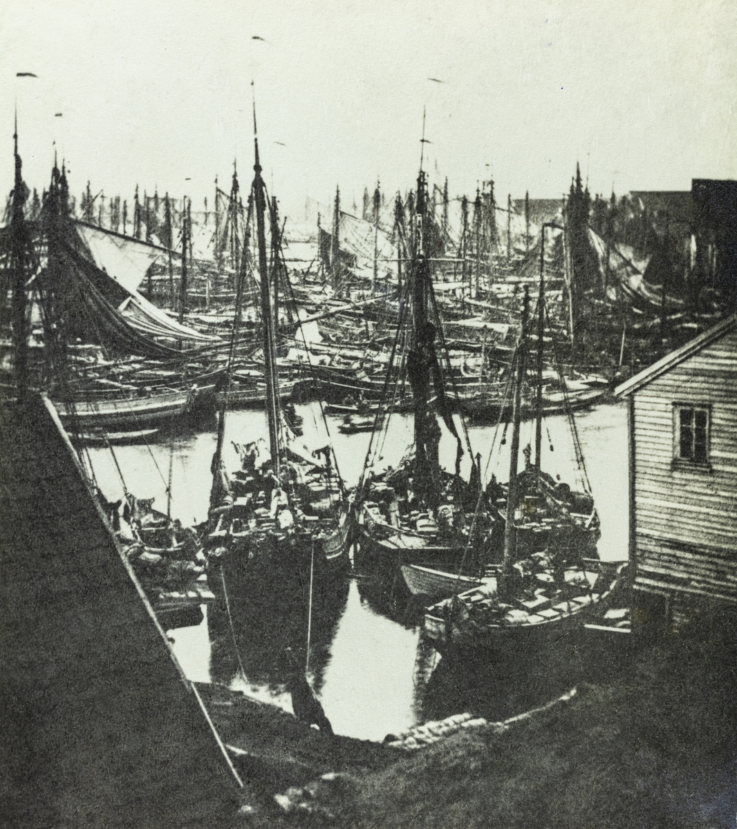 "Krossen" under vårsildfisket, 1869.